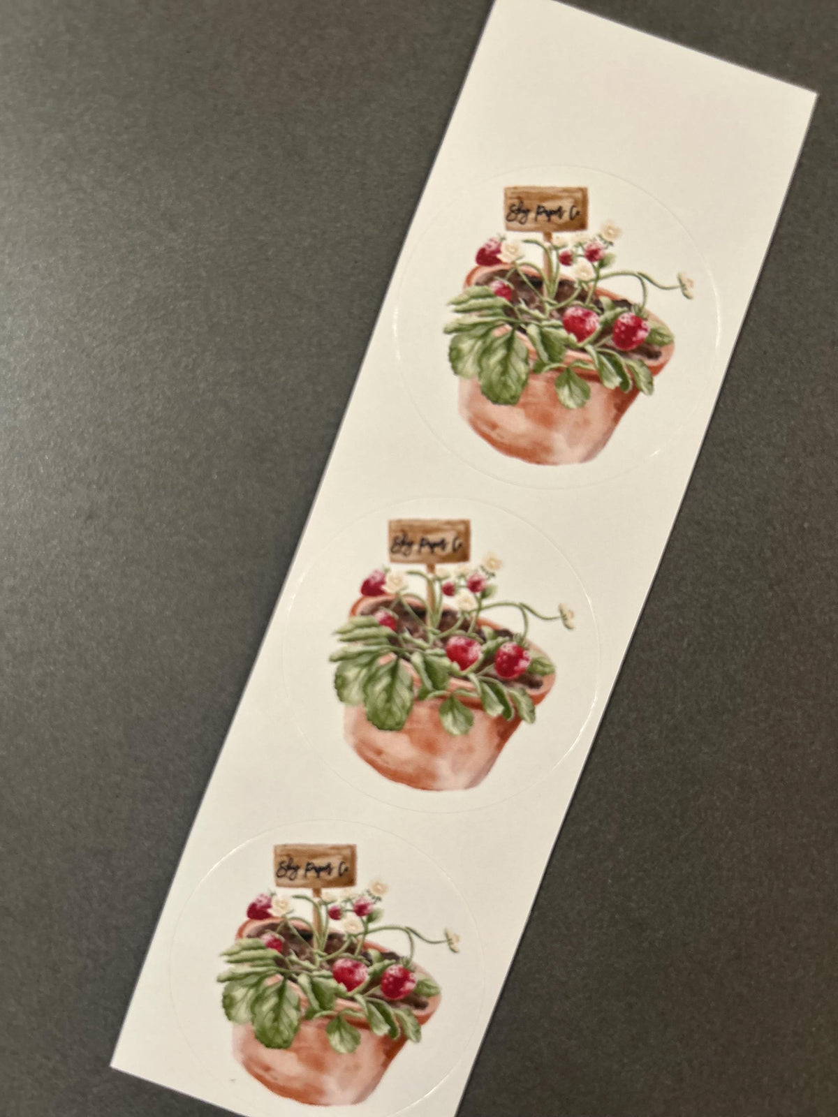 Mouse in the Garden: Set of 8