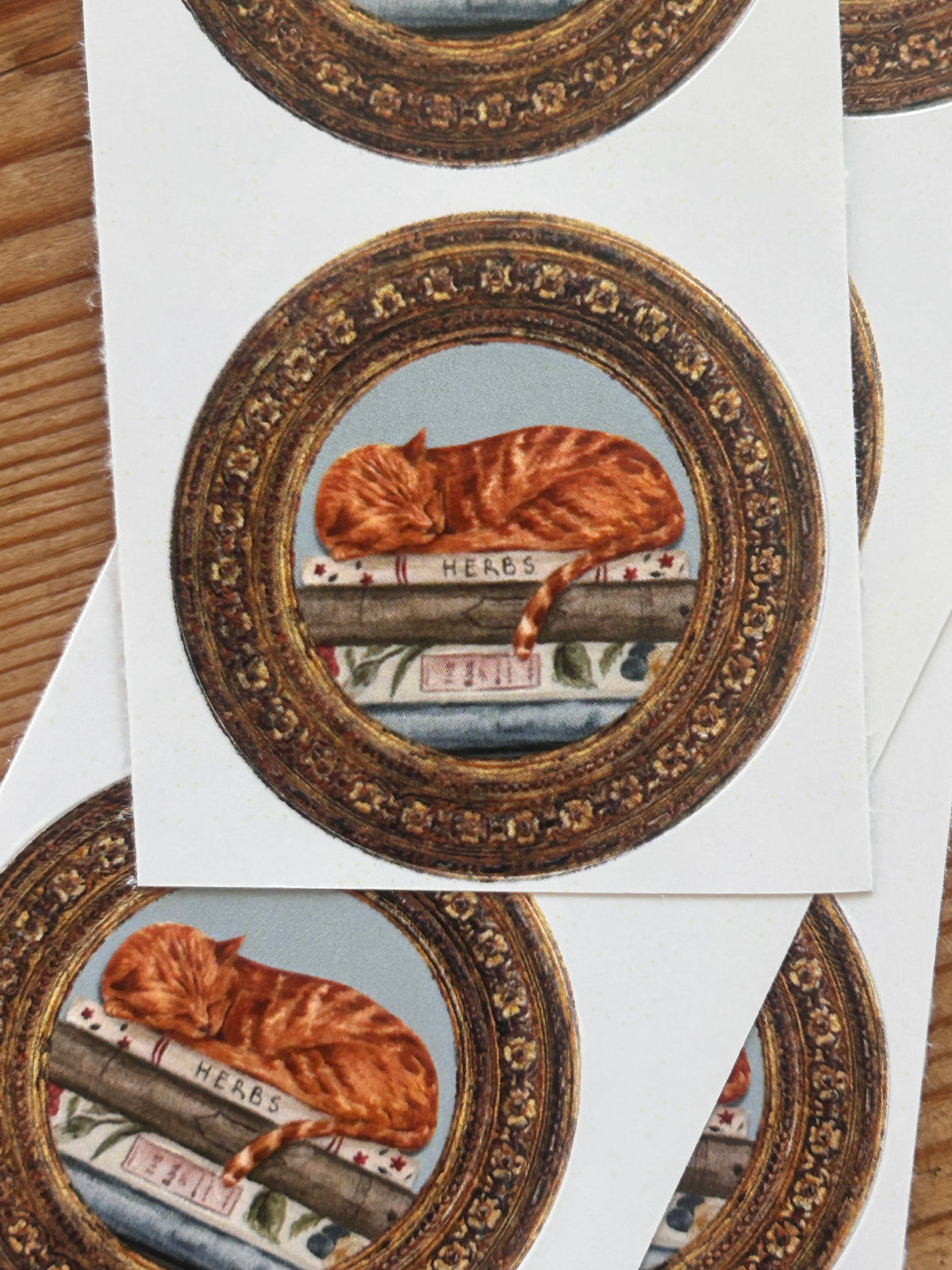 Pleasure Time Reading Letter Set