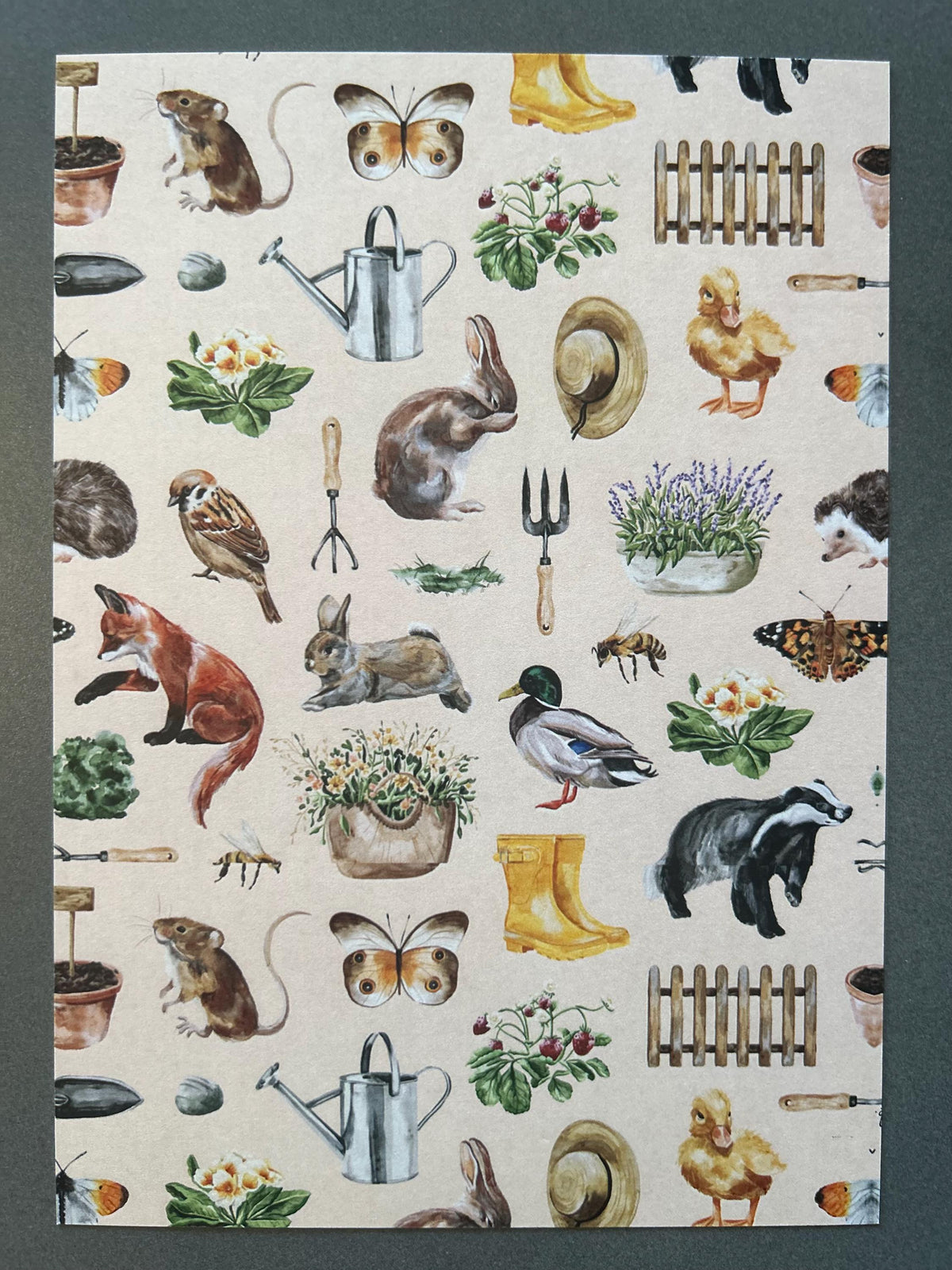 Fox in the Garden: Set of 8