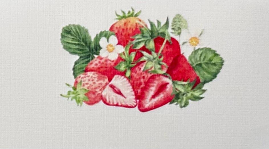 Strawberry Fields Letter Set